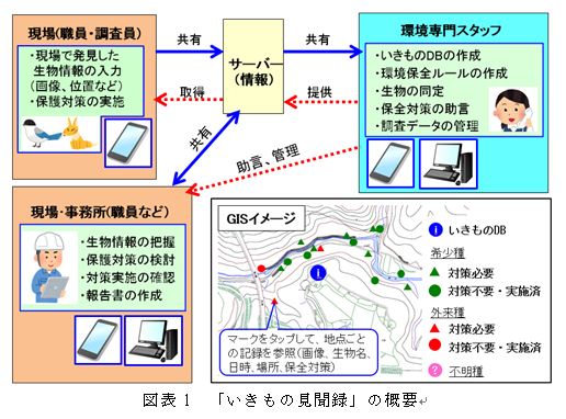 フジタ