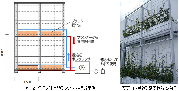 大成建設