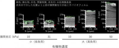 水処理